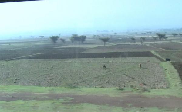 Elicopterul s-a prăbuşit într-o zonă la sud de Capitală