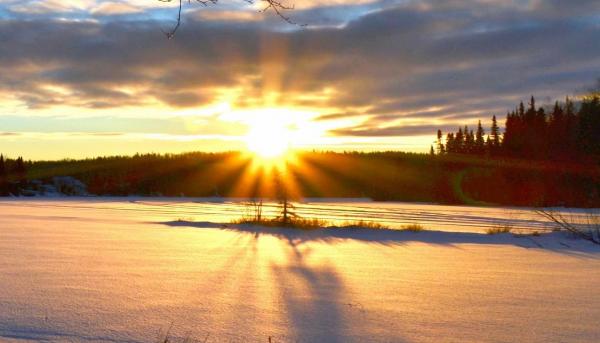 Peisaj de iarnă cu soare pe zăpadă