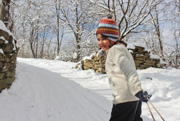 Prognoza meteo ANM pe patru săptămâni