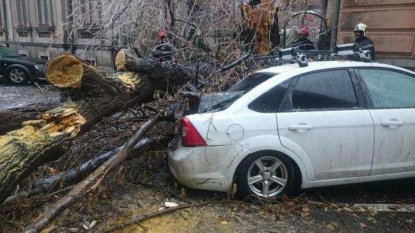 Un copac cazut peste o masina în Bucureşti