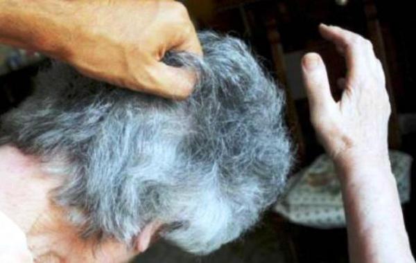 Doi bătrâni din Neamţ, bătuţi şi lăsaţi fără pensie. S-au trezit cu hoţii în casă, în toiul nopţii