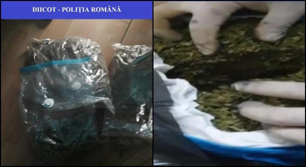 Colet cu aproape 3 kg de droguri, interceptat de DIICOT