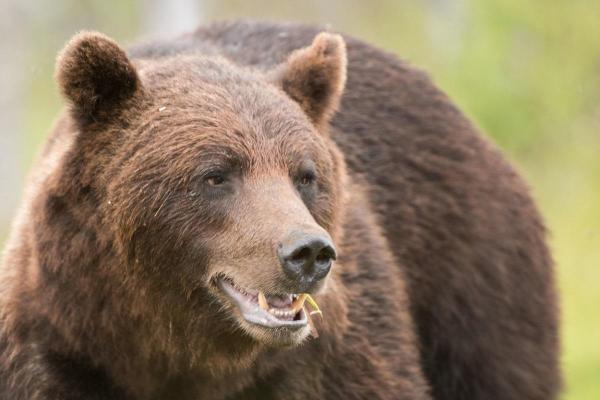Bărbatul, în stare gravă la spitalul din Miercurea Ciuc