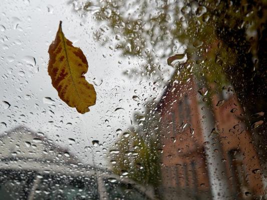 Vremea 4 - 17 noiembrie 2019