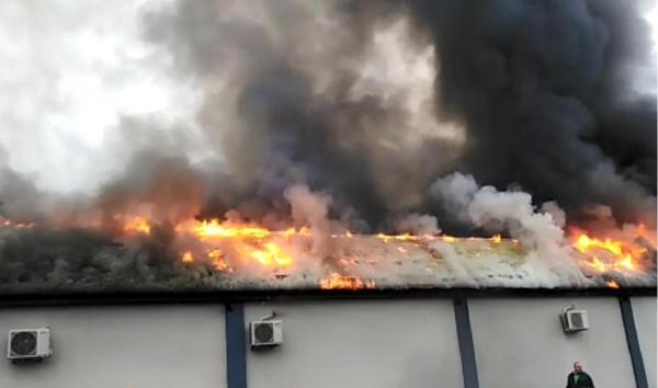 Angela Rusu a suferit o pagubă de circa 600.000 de euro