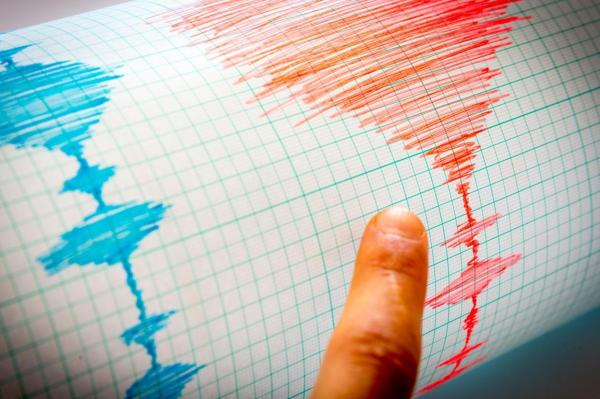 Seismograf arată producerea unui cutremur