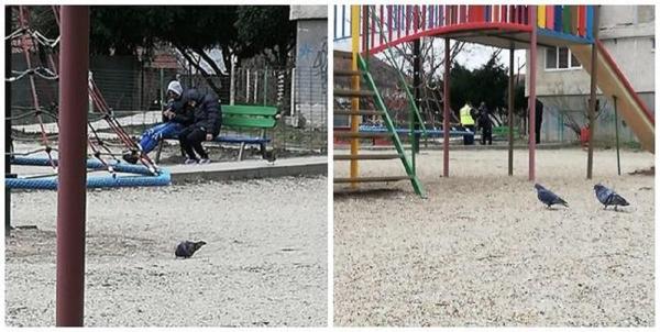 Tineri drogaţi în Timişoara