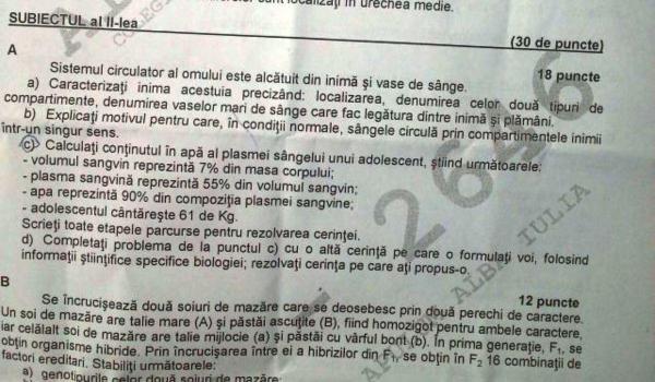 Subiecte Simulare Bac 2019 Biologie. Ce a picat la clasa 12