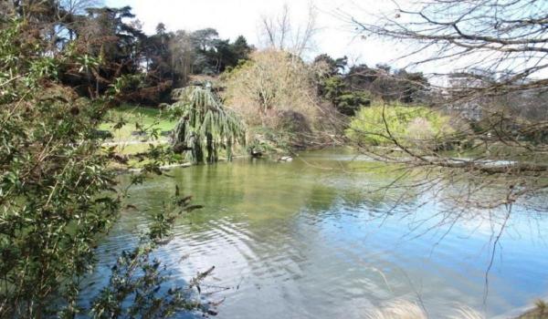 Gemenele românce găsite moarte într-un lac din Paris se numesc Lucreția și Mariana şi sunt din Bucureşti. Anunţul MAE