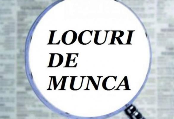 Peste 29.400 de locuri de munca vacante la nivel national