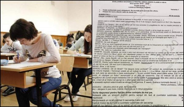 Subiecte Evaluare Naţională 2019 la limba română. Ce au avut de rezolvat elevii la proba scrisă