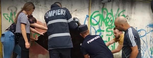Pisica a fost redată proprietarei