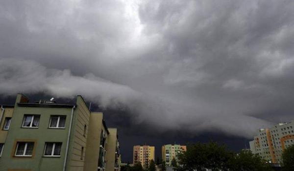 Cod portocaliu de furtuni