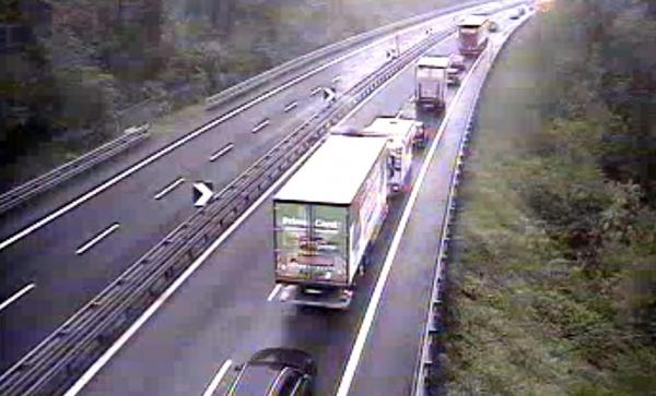 TIR-uri și mașini în coloană pe Autostrada A10 din Italia
