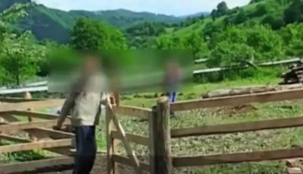 Patru români şi un cetăţean german, implicați în traficul de minori de la Vișeu de Sus, Maramureş