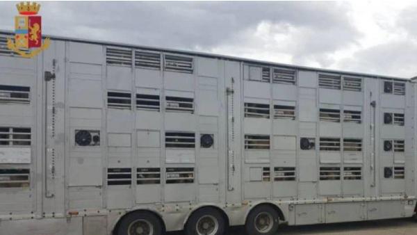 Șofer român de TIR amendat cu 8.000 de euro în Italia. Camionul i-a fost confiscat pe loc