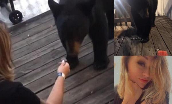 Tânăra hrăneşte ursul care stă la o mică distanţă şi mănâncă din palmă