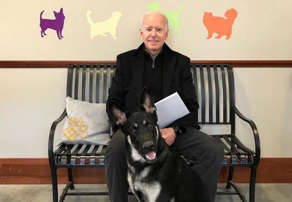 Joe Biden, fotografiat alături de câinele său adoptat, Major.