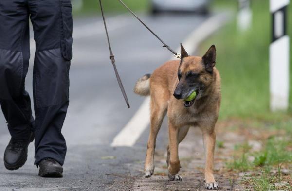 Românul este acuzat de comiterea a două infracţiuni