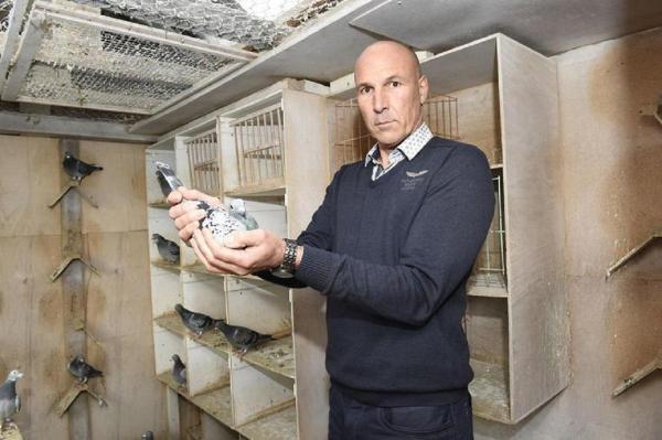 Trei români au fost condamnaţi la închisoare în cazul porumbeilor furaţi din Belgia