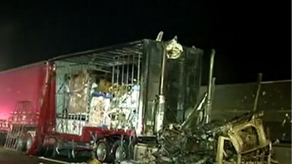 Locuitorii din Brisbane au luat cu asalt standurile cu hârtie igienică pentru a-şi face provizii