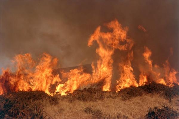 Incendiu de vegetație la Glina