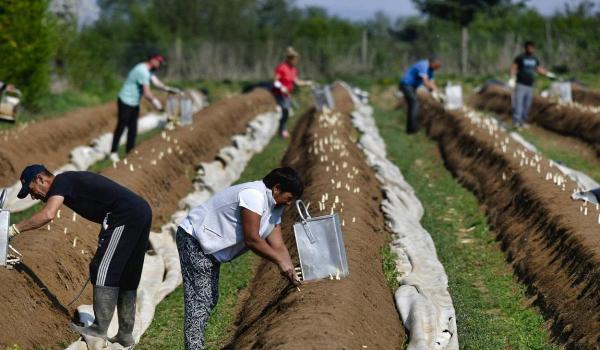 Coronavirus în România