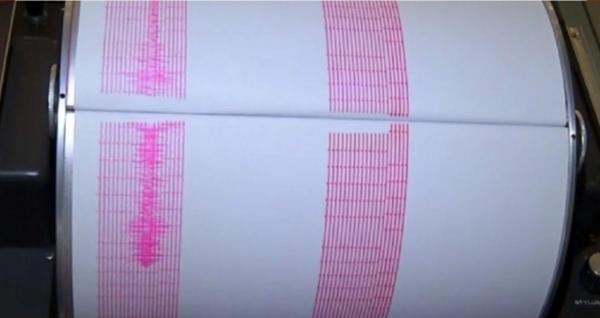 Seismul s-a produs în Buzău, la 137 kilometri adâncime