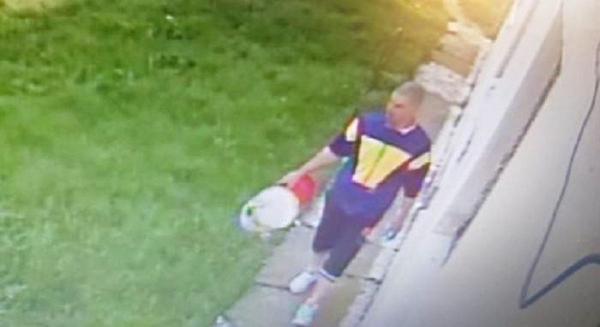 Onorel Lupu terorizează un sat din Prahova. Înfometat, golește noaptea frigiderele localnicilor