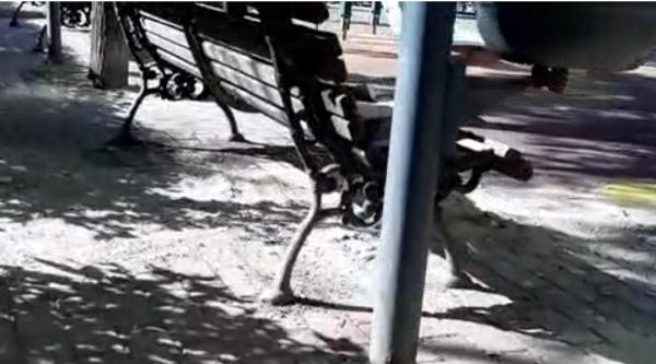 Românul mort avea 43 de ani