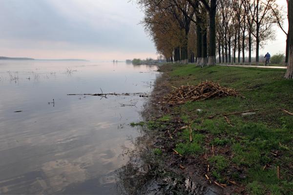 Un tânăr de 28 de ani și-a pus capăt zilelor după ce s-a legat și s-a aruncat în râul Moldova, în fața soției