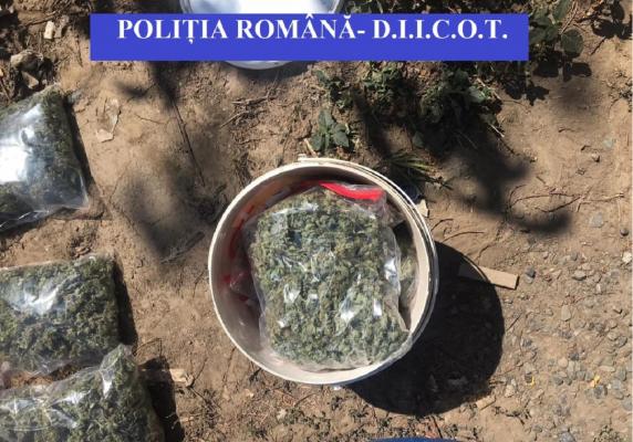 Trei traficanți de droguri au fost arestați preventiv în acest caz