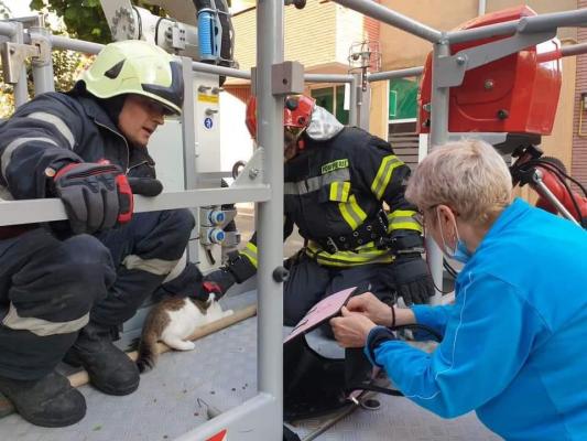 O pisică a căzut de la etajul 6, al unui bloc din Satu Mare şi nu a păţit nimic. Felina a fost recuperată de pompieri şi redată stăpânei
