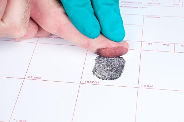 amprenta digitală