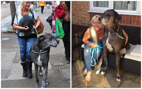 Cel mai înalt câine din lume a murit