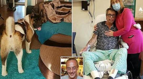 Disperarea unei femei, după ce câinele familiei i-a omorât fratele și îl va lăsa pe soțul ei fără ambele picioare