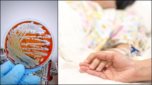 Bacterie ucigaşă, descoperită într-un spray de cameră, comercializat într-un supermarket din SUA. Două persoane au murit, între care un copil