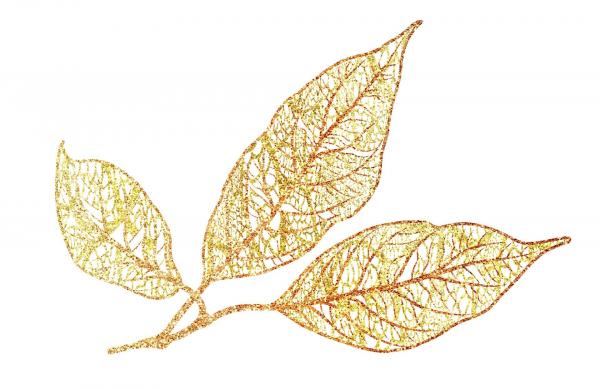 (P) Trăsăturile unei femei născute toamna