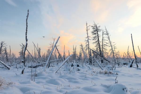 Un bărbat a apărut la 2 săptămâni după ce fusese declarat mort. Omul dispăruse din luna august, în Siberia