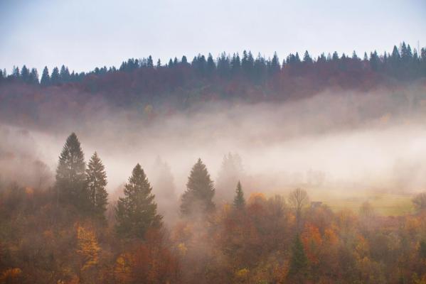Vremea 1 noiembrie. Ceaţă dimineaţa şi seara şi temperaturi mai scăzute. Minimele ajung şi la -5 grade