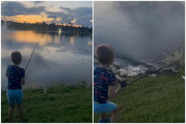 Un aligator a înhăţat undiţa din mâinile copilului, pe malul unui iaz din Florida