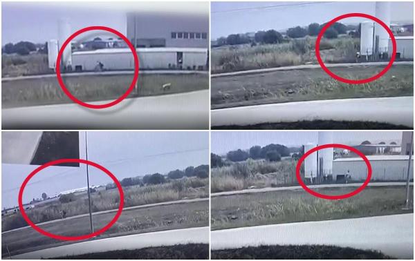 Ultimele clipe din viaţa tinerei din Cluj, ucisă de un recidivist la Oradea, surprinse de o cameră de supraveghere. Câteva minute mai târziu femeia era omorâtă cu bestialitate