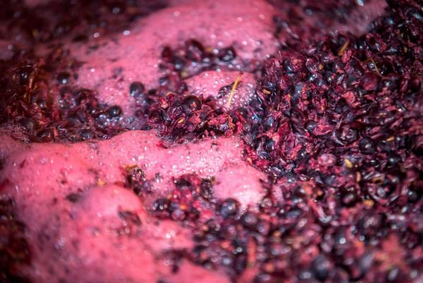 O femeie a murit, iar un bărbat a fost dus la spital, după ce ambii au intrat în beciul unde ţineau fructe la fermentat