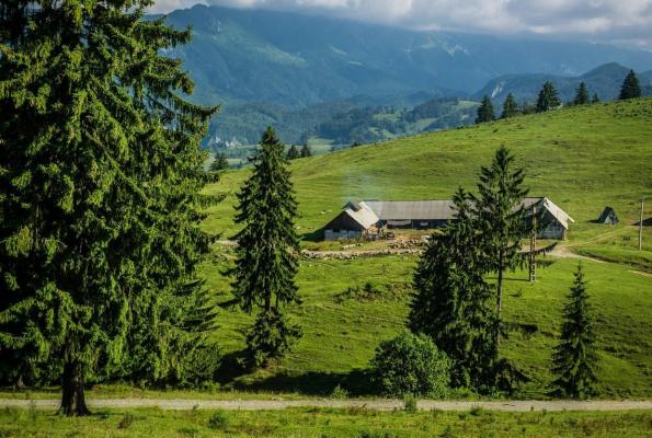 Ardealul și Moldova, două dintre cele mai populare zone din România la capitolul mâncare