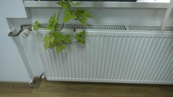 Peste 310 milioane de lei, alocaţi pentru energie termică. Cei mai mulţi bani merg la Timişoara, Capitala nu primeşte nimic