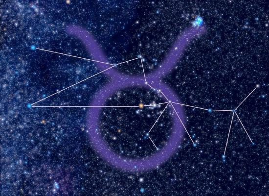 Horoscop săptămâna 22 noiembrie - 28 noiembrie 2021 pentru zodia Taur