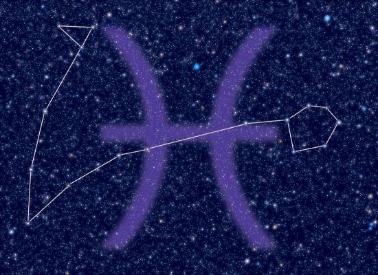 Horoscop săptămâna 22 noiembrie - 28 noiembrie 2021 pentru zodia Peşti