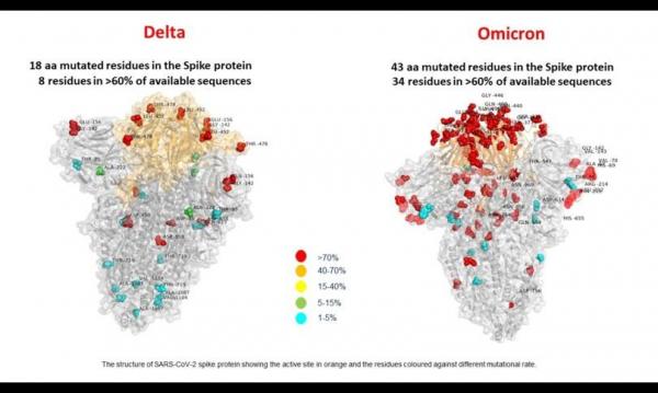 Prima "imagine" a variantei Omicron arată mai multe mutaţii decât varianta Delta: "Virusul s-a adaptat din nou speciei umane"