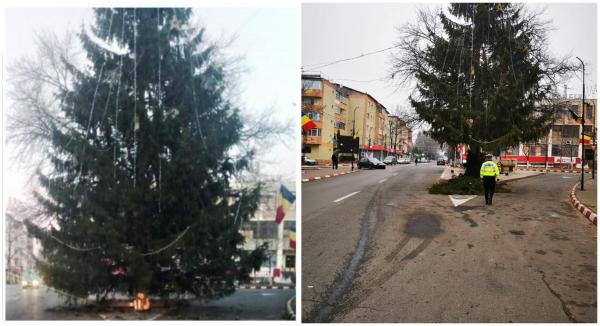 Brad de Crăciun, instalat în mijlocul unei intersecţii din Panciu
