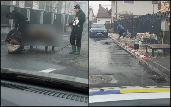 „Doar în România poţi vedea aşa ceva“. O familie din Târgu Jiu a tăiat porcul în văzul lumii, în mijlocul străzii